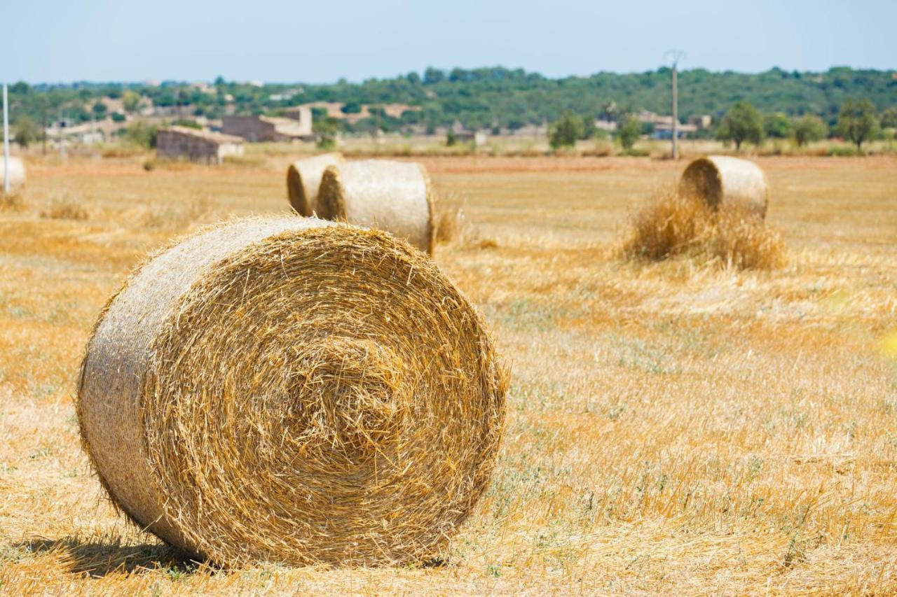 Finca Son Alcaines Petit 249 by Mallorca Charme Sineu  Exterior foto